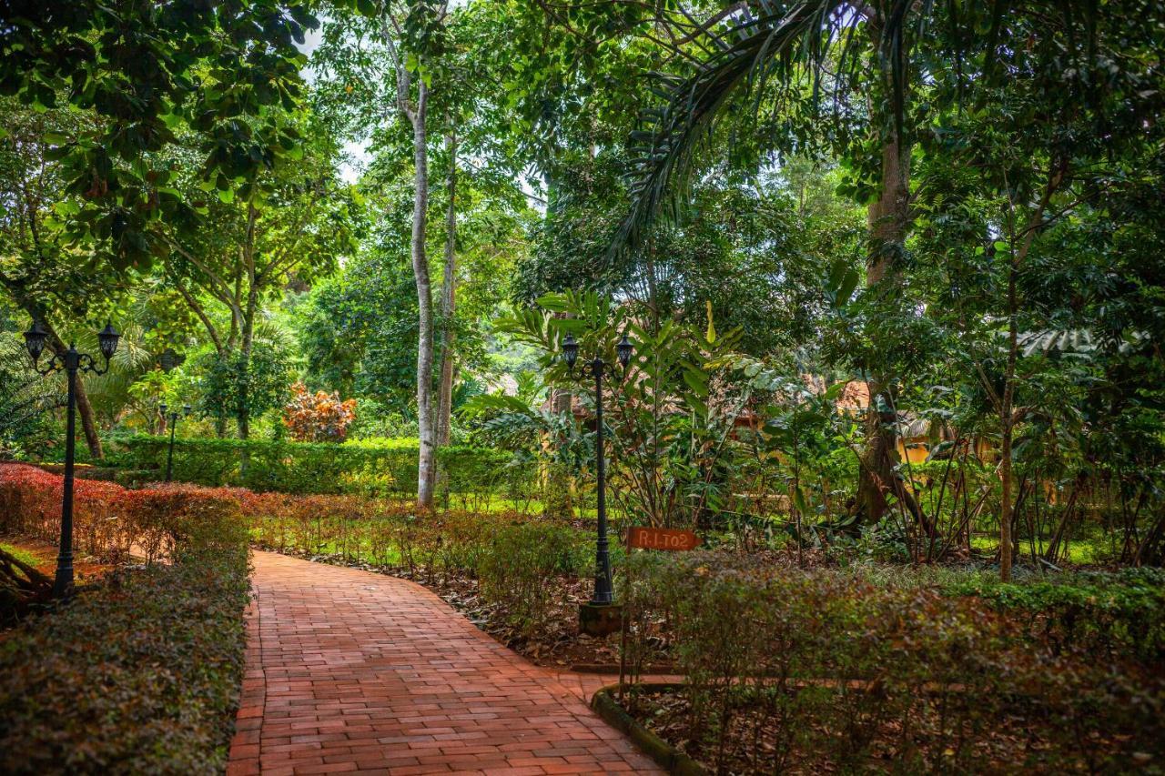 Brovad Sands Lodge Kalangala ภายนอก รูปภาพ