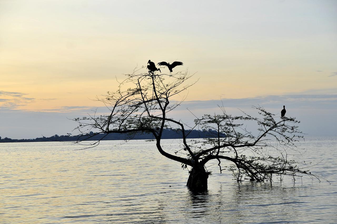 Brovad Sands Lodge Kalangala ภายนอก รูปภาพ